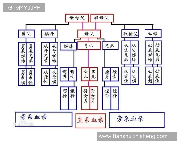 足球明星的亲属关系揭秘他们的家族背景与亲戚关系分析